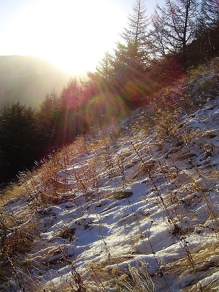 什么是高山帐 1_5_96413913563fe16.jpg